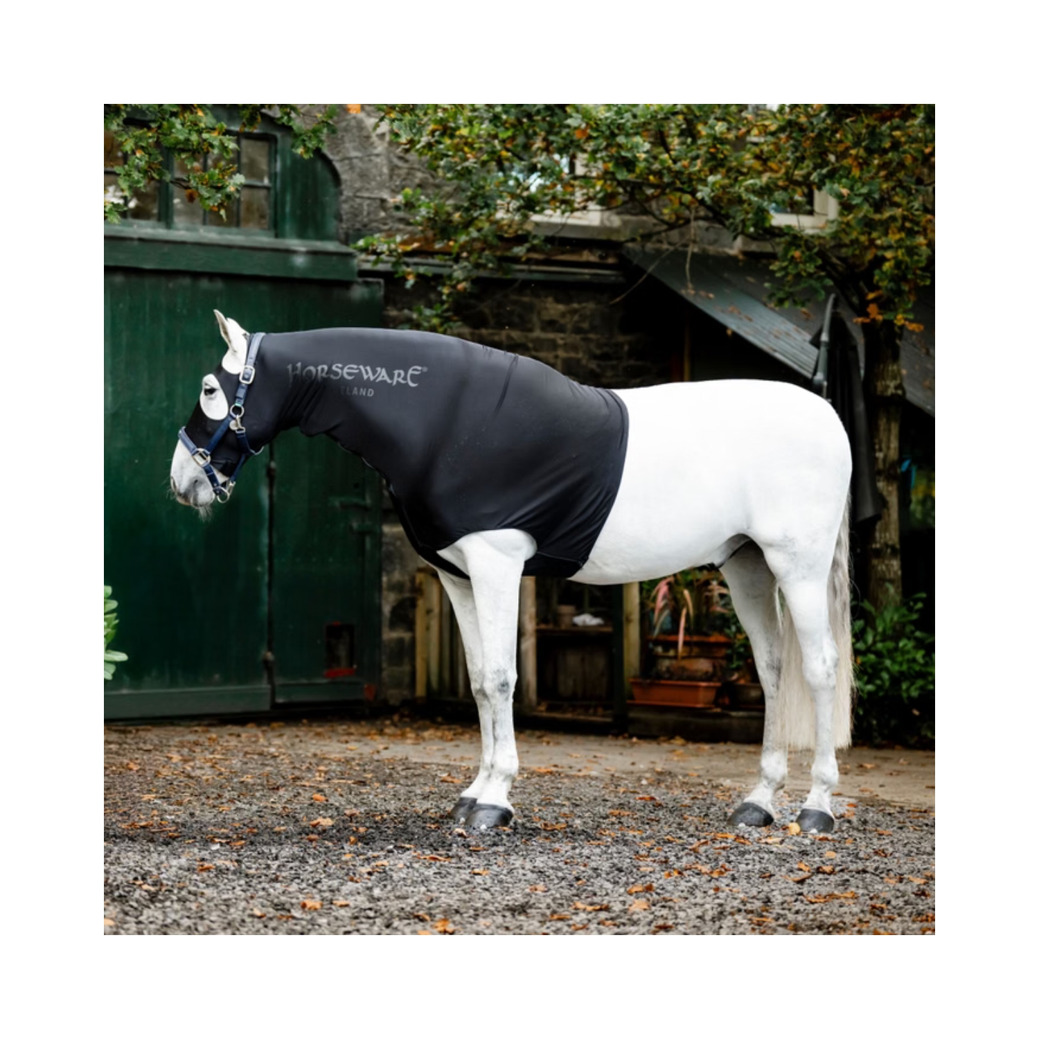 HORSEWARE馬匹防磨衣-上半身